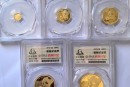 六盘水哪里回收熊猫金币？正规渠道电话与高价收购指南